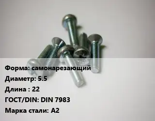 Винт самонарезающий 5.5х22 DIN 7983 Сталь: А2
